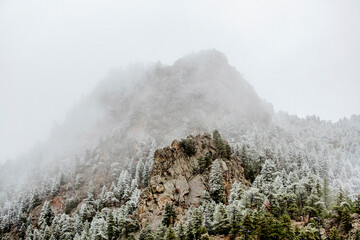 Low angle view of pine trees on mountain against sky in forest during foggy weather