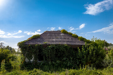 Plants growing by old abandoned house against blue sky during sunny day