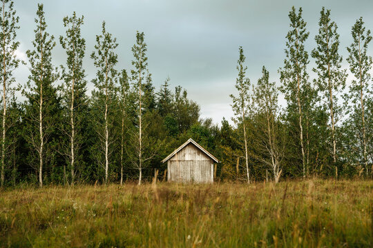 Surface level image of cottage on grassy field amidst trees against cloudy sky in forest