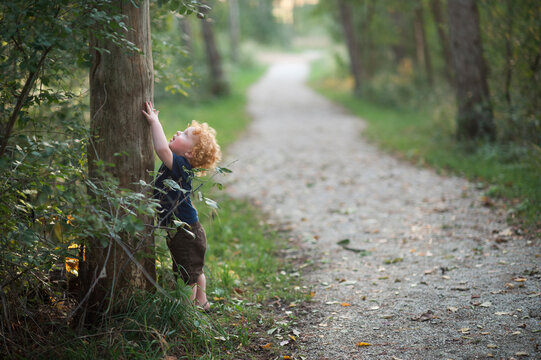 Young redheaded boy looking at a tree in the woods