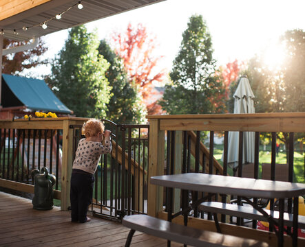 Toddler boy looks out gate on deck into backyard