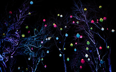 lanterns lit up in the trees at night time