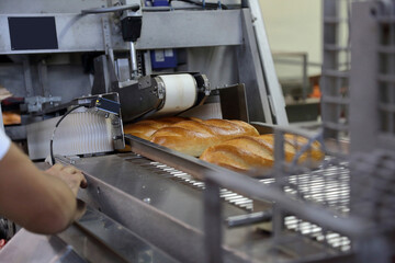 Baked breads processing on production line in factory