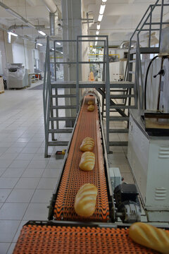 High angle view of baked breads processing on conveyor belt in factory
