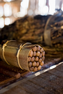 Packages of hand made cuban cigars with tobacco leaves