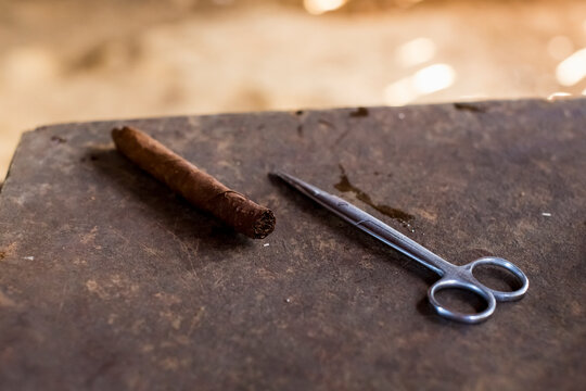 Cuban cigar with tobacco leaves