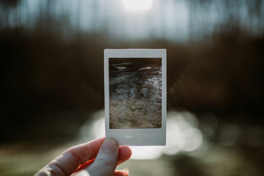 Hand holding instant picture of Sunlight on the River