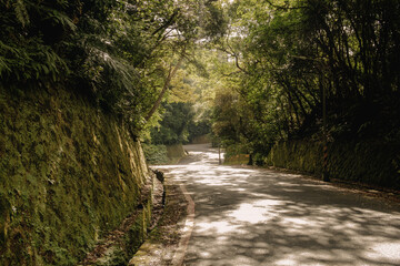 Winding Road at Sunset