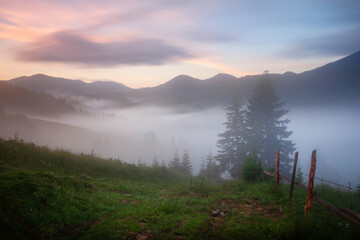 Foggy colorful sunrise in mountain valley