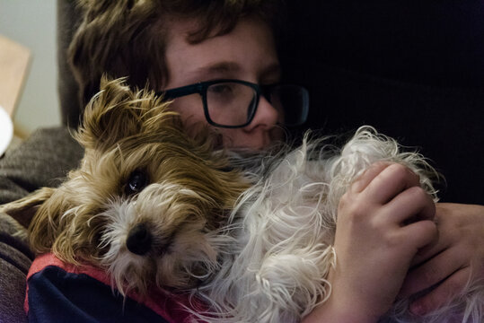 A Tween boy holding his Yorkshire Terrier puppy laying on her back.