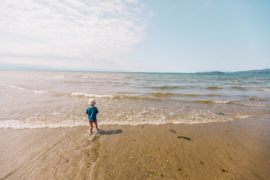Rear view of a little boy on a beach looking out at the ocean