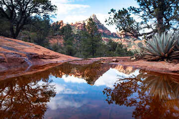 Scenic reflection in rain water puddle, Sedona Arizona