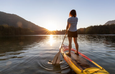 Fototapeta Adventurous Woman Paddling on a Paddle Board in a peaceful lake. Sunny Sunset. Hicks Lake, Sasquatch Provincial Park near Harrison Hot Springs, British Columbia, Canada. obraz