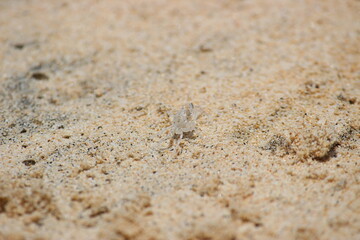 Experiencia en cabo verde 
