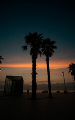 atardecer arboles