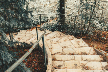 spiral stone staircase in the middle of the Arboretum with silver fir