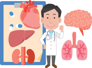 色々な臓器と男性医師