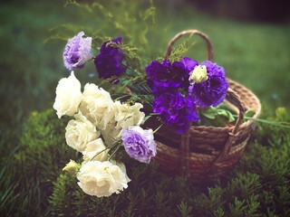flowers in a basket