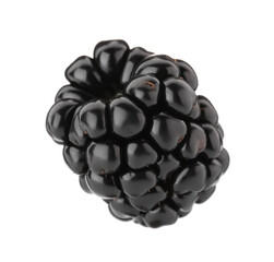 Obraz premium One tasty ripe blackberry isolated on white