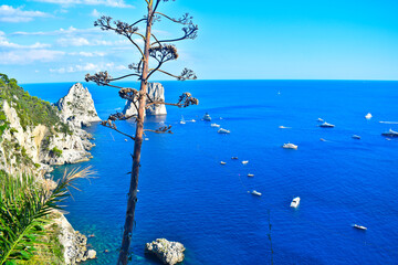 Capri, Italy, faraglioni viewed from Giardini di Augusto (Capri Overlook) Mallo Island
