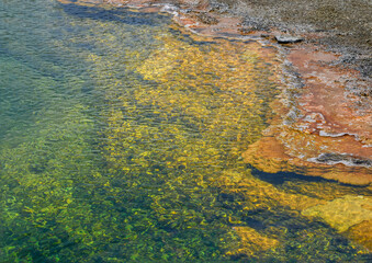 Golden Reflections in a Hot Spring, Yellowstone National Park
