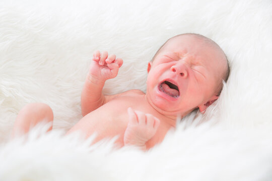 生まれたての赤ちゃん の画像 1 399 件の Stock 写真 ベクターおよびビデオ Adobe Stock
