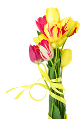 Bouquet of tulips with satin ribbon isolated on white background