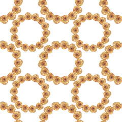Seamless pattern watercolor boho wreath on white background. Circle frame border template for design. Dry flower orange herbarium for wedding. Hand-drawn summer autumn plant. Art with copy space