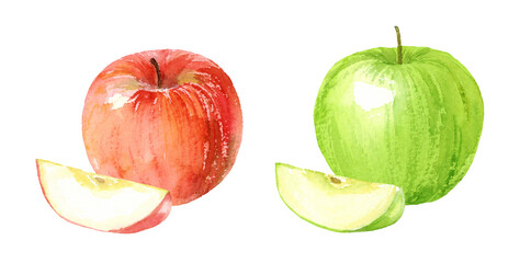 Watercolor illustration of red apple and green apple with transparent background
