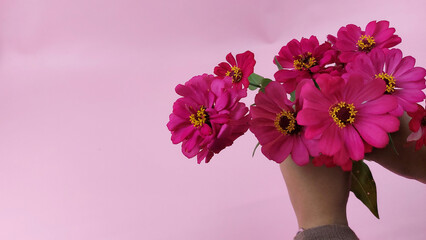 Bouquet with pink flowers in girl's hands on blue background 03