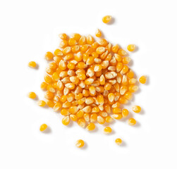 Dried corn kernels placed on a white background. Corn for popcorn.