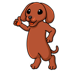 Cute dachshund dog cartoon giving thumb up
