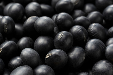 Black soybeans placed throughout the screen.