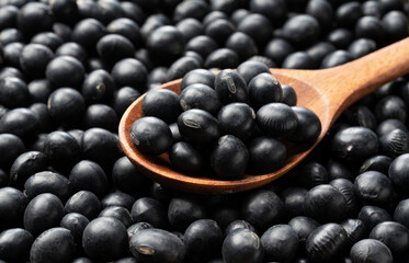 Black soybeans placed all over the screen with a wooden spoon on top of them.