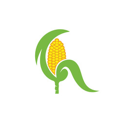 Obraz premium fresh corn vector element illustration design template