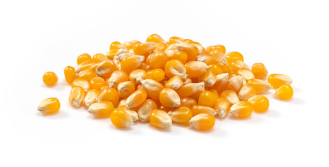 Dried corn kernels placed on white background.