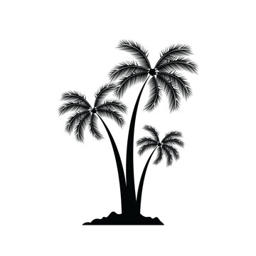  Palm tree silhouette vector graphic
