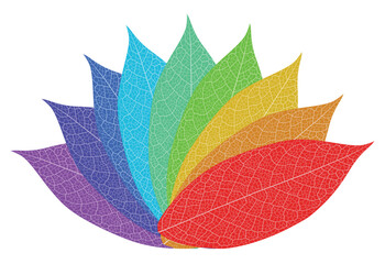 Layered editable vector illustration outline of a flower pattern composed of leaf veins with different colors.