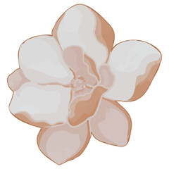 Watercolor Dried Flower, Brown flora clipart.