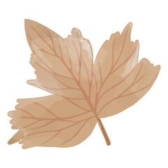 Watercolor Dried Leaf, Branches clipart.