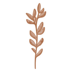 Watercolor Dried Leaf, Branches clipart.