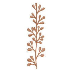 Fototapeta premium Watercolor Dried Leaf, Branches clipart.