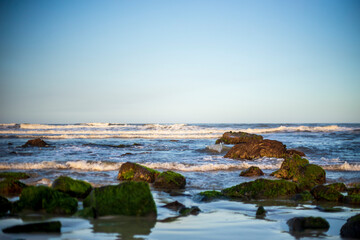 Beach with Hairy Rocks