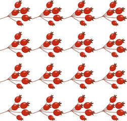 beautiful autumn pattern ripe red rosehip fruits can be used for posters banners backgrounds