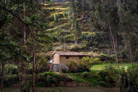 Tarma's countryside datails