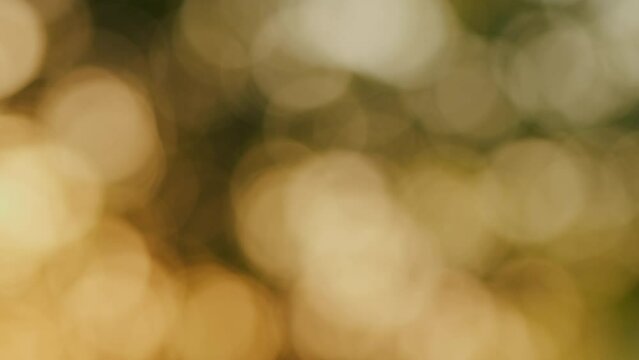 Lens light leaks flashing around making an elegant abstract background. Autumn blurred background. Bokeh.