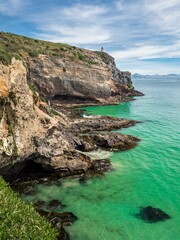 Fototapeta premium Steep coast Otago Peninsula, Dunedin, Otago Region, South Island, New Zealand, Oceania