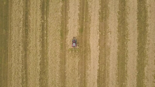 Overhead View Of A Tractor Tedding Mowed Hay With Rakes On The Farm. Aerial Topdown Shot