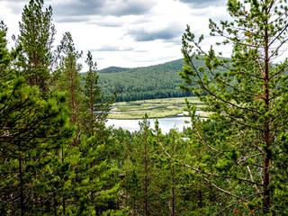 beautiful view of the wooded Ural mountains