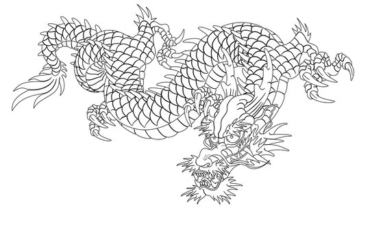 Oriental dragon illustration Chinese Japanese Korean style transparent background Simple light d descending dragon line